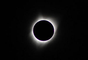 2017年8月21日10時20分（現地時間），NikonD40+Zoom-Nikor 70-300mm:300mm,ISO400，f8,1/125sec