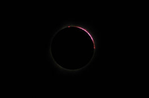 2017年8月21日10時21分(現地時間),NikonD40+Zoom-Nikor 70-300mm:300mm,ISO400,f8,1/4000sec